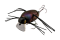 JACKALL CHUBBY BUG 35