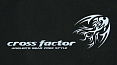 CROSS FACTOR