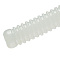 MAJOR CRAFT PARA WORM AJI-PIN 2.5"