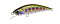 DUO SPEARHEAD RYUKI 38S M-AIRE
