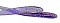TH TACKLE TOMO MINNOW 2.8"
