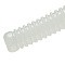 MAJOR CRAFT PARA WORM AJI-FLAT 2.8"