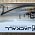 JACKALL SQUAD MINNOW 65SP