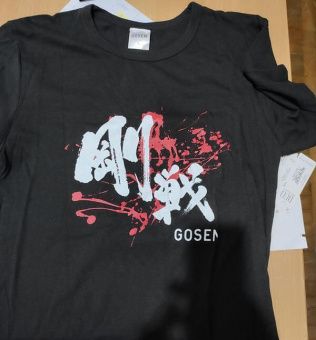 Футболка GOSEN T-SHIRT GSTS японское качество от производителя GOSEN