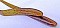 TH TACKLE TOMO MINNOW 3.3"