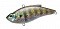 ZIP BAITS CALIBRA JR