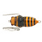 TIEMCO SOFT SHELL CICADA