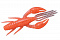 O.S.P. DOLIVE CRAW 2"