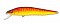 MEGABASS VISION 95 Q-GO