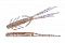 O.S.P. DOLIVE SHRIMP 4"