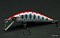 RAY TUNE DUPLEX DP45RS