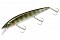 JACKALL RERANGE 110SP