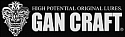 GAN CRAFT