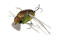 JACKALL CHUBBY BUG 35