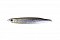 O.S.P. BENTMINNOW 86 F