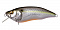 MEGABASS IXI FURIOUS 0.5