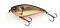 IMAKATSU GEKIASA FLAT