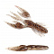 GEECRACK BEAT CRAW 3
