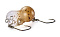 JACKSON BUBBLE MAGIC F