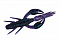 O.S.P. DOLIVE CRAW 2"