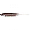 FISH ARROW FLASH J-4
