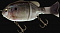 IMAKATSU GILL ROID JR.