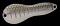 NORIES METAL WASABY 8G