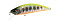 DUO SPEARHEAD RYUKI 51S AWABI