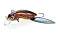 JACKSON SALAMANDER X 35
