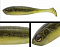 ADUSTA PENTA SHAD 3"
