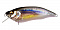 MEGABASS IXI FURIOUS 0.5