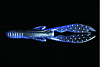 Силиконовая приманка JACKALL SASUTEKI CRAW 4 японское качество от производителя JACKALL