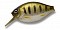 ISSEI G.C. CRANK 52 SR