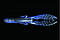 JACKALL SASUTEKI CRAW 4