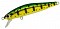 ZIP BAITS RIGGE HUNTED 78 S
