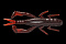 JACKALL DRAGON BUG 3