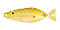 FIELD HUNTER MANIA 10G