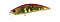 DUO SPEARHEAD RYUKI 51S AWABI