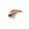 WATERLAND CHIMA SONIC 8G