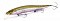 MEGABASS ONETEN R