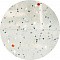 MAJOR CRAFT PARA WORM GRUB 1.8"