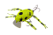 JACKALL CHUBBY BUG 35