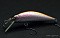 RAY TUNE DUPLEX DP45RS