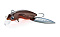 JACKSON SALAMANDER X 35