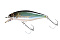 JACKALL CHUBBLE SR