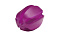 JACKSON ROD EGG S