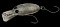 NORIES CRANKIN PUPA SHALLOW