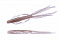 O.S.P. DOLIVE SHRIMP 3"