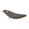 ROB OTTOTTO