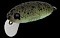 NORIES CRANKIN' BOSS PUPA SHALLOW